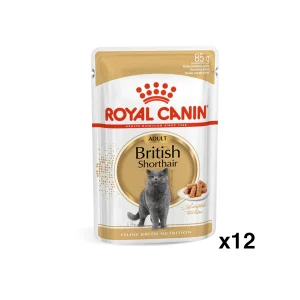 Royal Canin British Shorthair 12 Bustine
