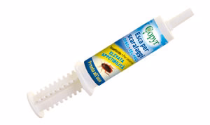 Siringa Per Scarafaggi Dobol Gel