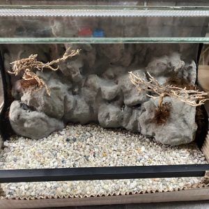 Terrario-Paludario 30x20x20 3D