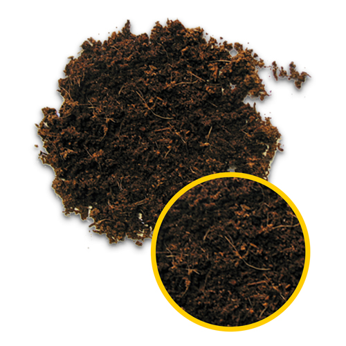 HOBBY Terrano Forest 8lt per Terrario, Fondo per Rettili, Anfibi, Granchi Geosesarma spp - immagine 3