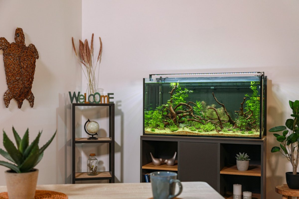 ZOLUX Acquario IDROMAX 160lt - immagine 3