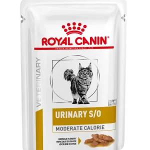 Royal Canin Urinary S/O moderate calorire Umido Gatto 12 Bustine 85gr