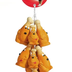 Coscia di pollo in lattice