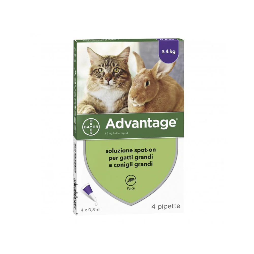 Advantage Spot-on antipulci per gatti e conigli di taglia grande - immagine 2