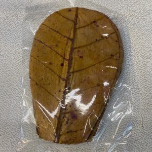 Catappa in foglie, naturale, raffinata, conf. da 20pz