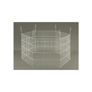 Domus Molinari recinto per roditori - ring