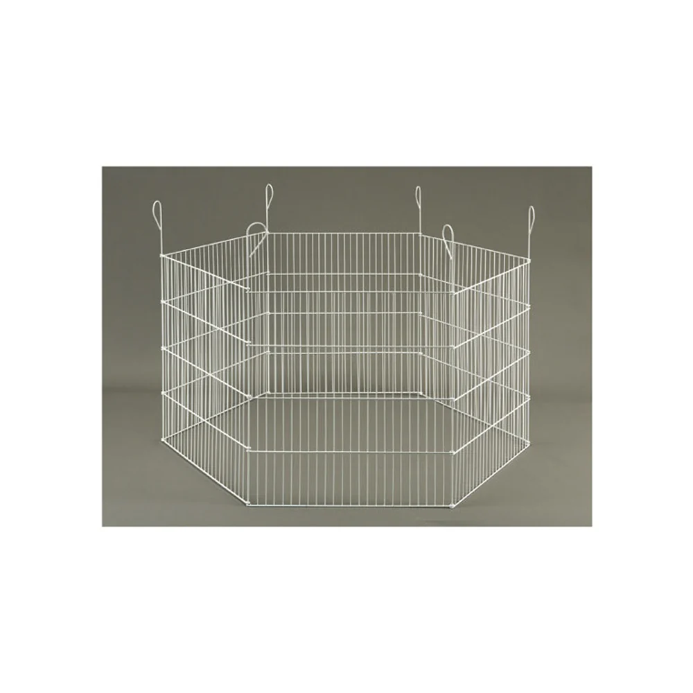 Domus Molinari recinto per roditori - ring - immagine 2