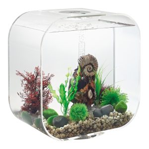 BIORB acquario LIFE 30 MCR