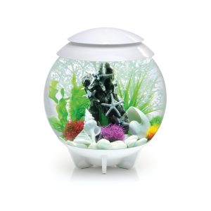 BIORB acquario HALO 30 MCR