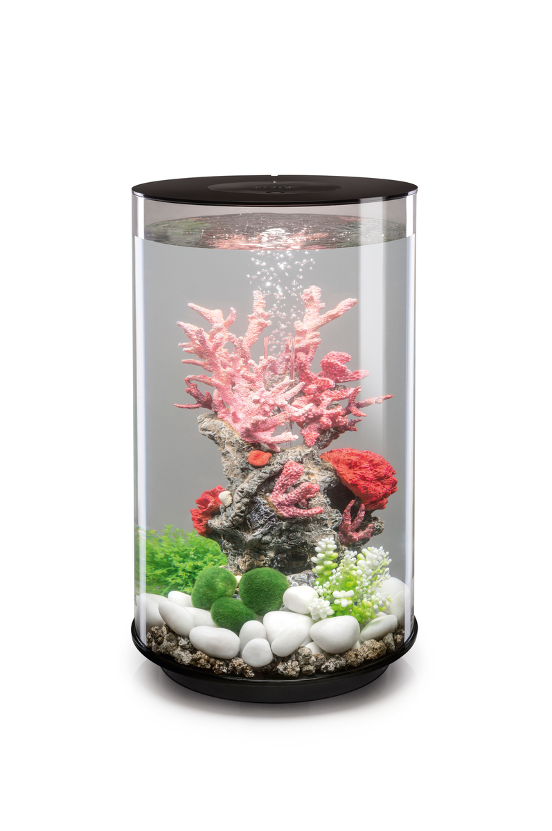 OASE acquario TUBE 30 MCR - immagine 3