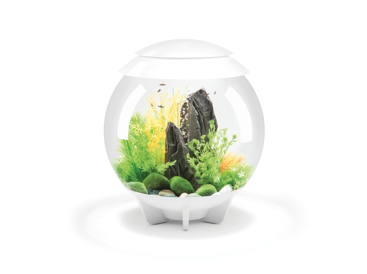 BIORB acquario HALO 30 MCR - immagine 3