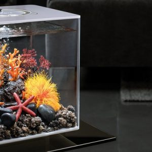 BIORB acquario CUBE 30 MCR Trasparente