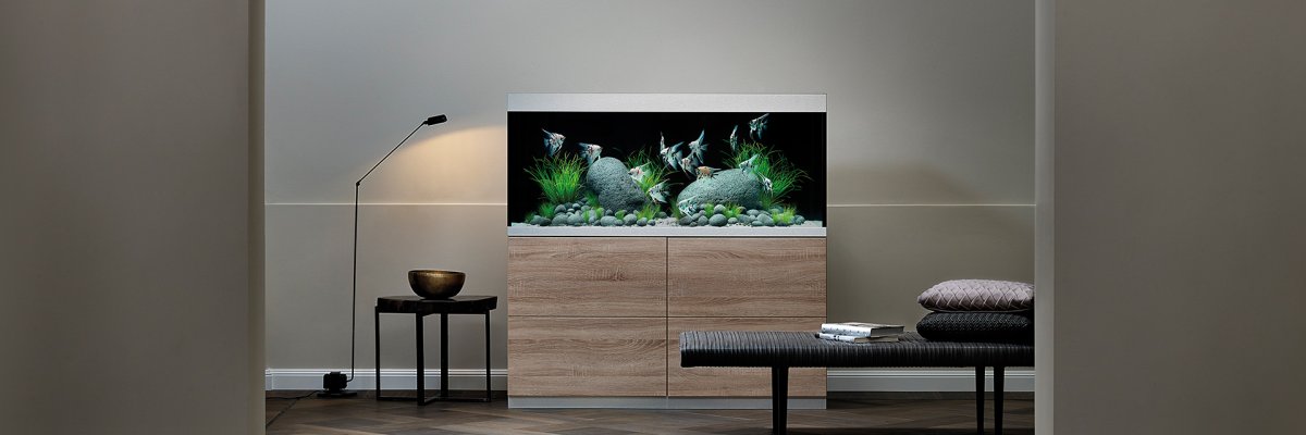 OASE HighLine 300 Completo di Mobile - immagine 3