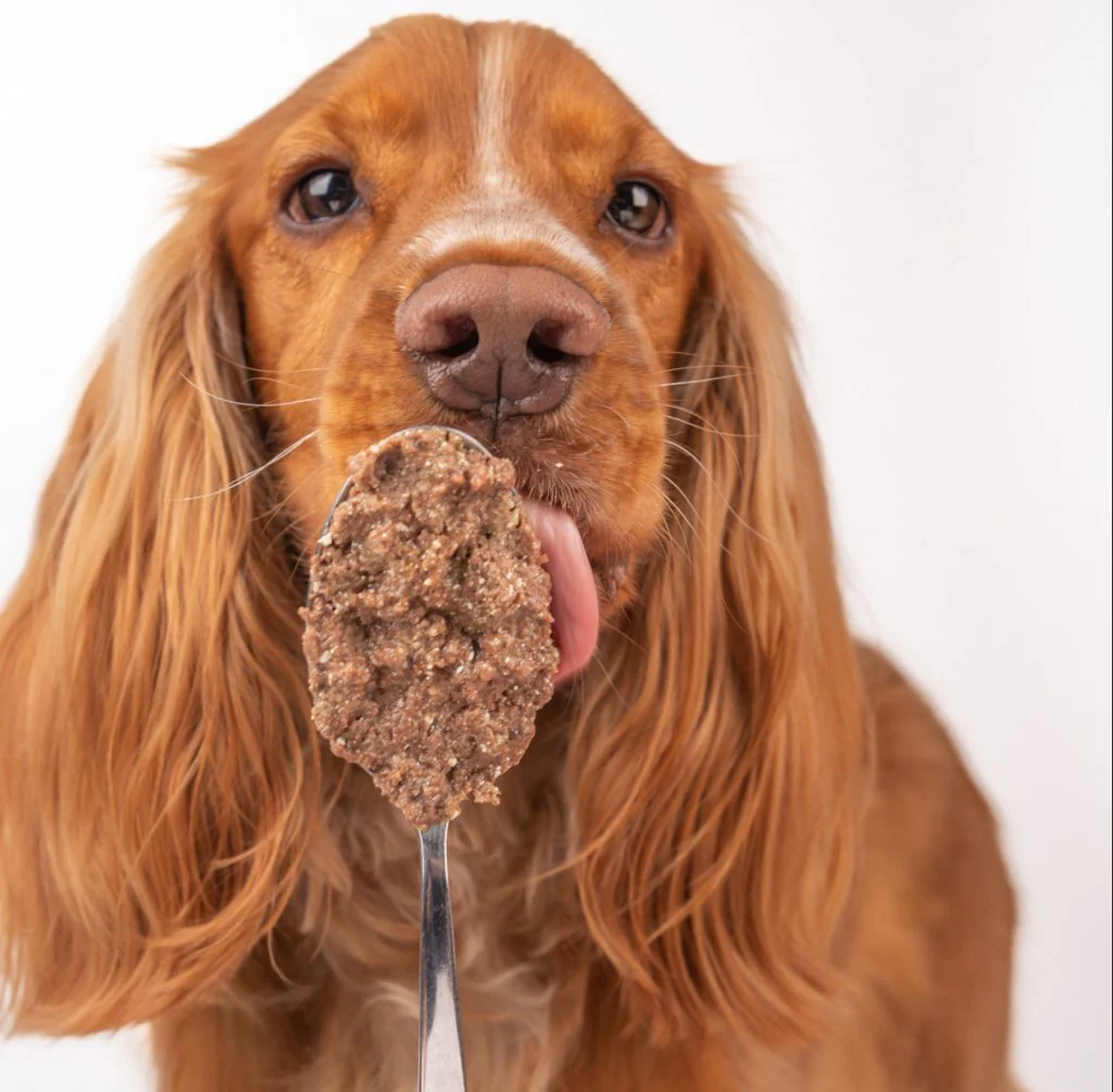 UMIDO 100% NATURALE REAL CERVO (Kg/Size:0,400) - immagine 4