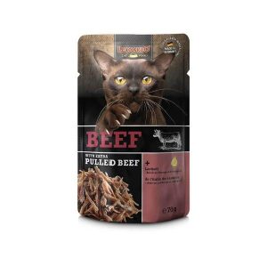 Leonardo Pulled Beef