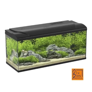 BluBios Acquario MAGIS 100 95litri