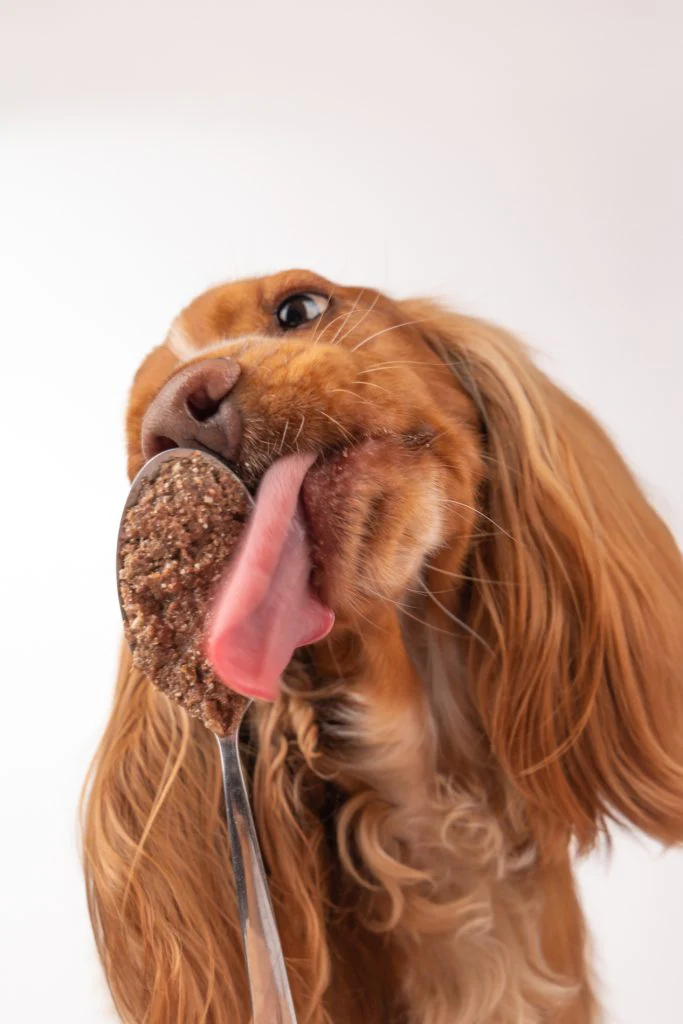 UMIDO 100% NATURALE REAL CERVO (Kg/Size:0,400) - immagine 3