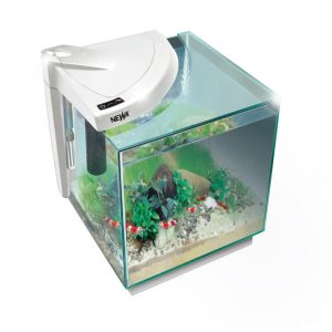 NEWA More Caridinae Acquario 20lt