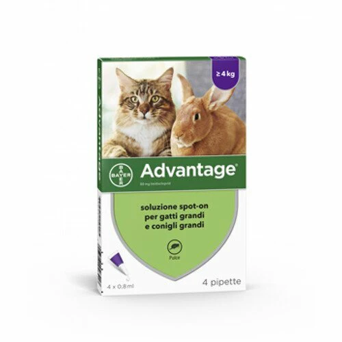 Advantage 4 Pipette Antipulci Per Gatti, Gattini e Conigli  Oltre 4 kg - immagine 2