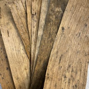 Foglie naturali di banana per acquario