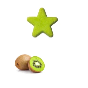 Biscotti per Cani Marie La Pasticcera Stella Kiwi Gusto Kiwi 1kg