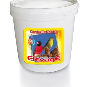 ELEVAGE | Carduelis natura ( secchiello da 5kg )