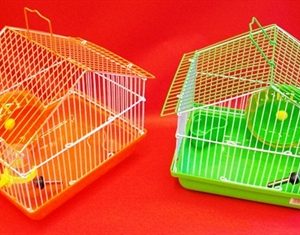 Trasportini piccoli criceti