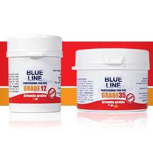Blue Line Artemia Grains Grade 35