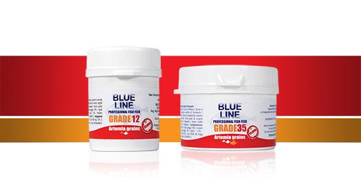 Blue Line Artemia Grains Grade 35 - immagine 2