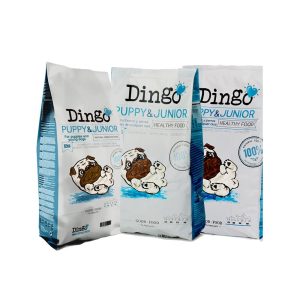 Dingo Puppy & Junior