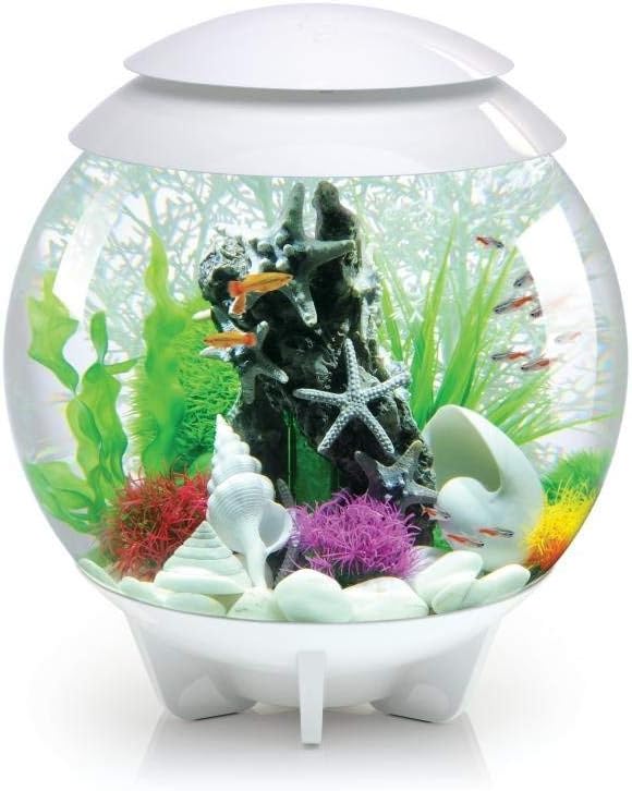 BIORB acquario HALO 30 MCR - immagine 5