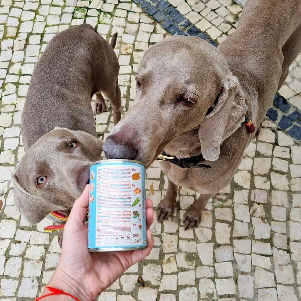 UMIDO 100% NATURALE REAL TURKEY (Kg/Size:0,400) - immagine 3