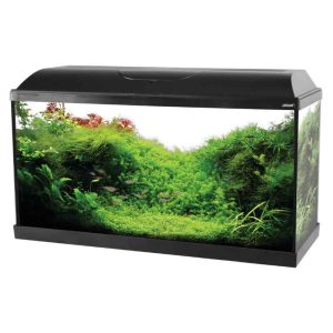 ZOLUX  Acquario ISEO 80