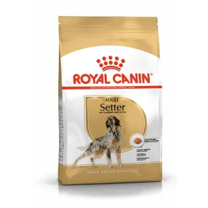 Royal Canin Setter adult