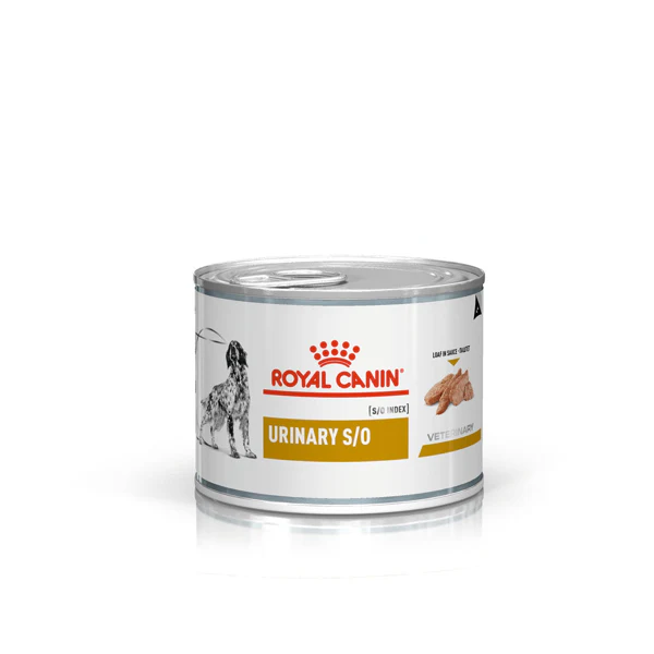Royal Canin Veterinary Diets Urinary S/O - Umido Cane - immagine 2