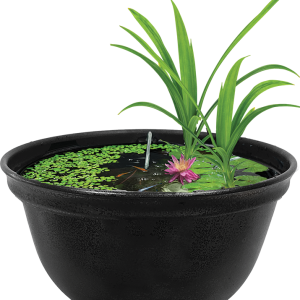 MINI POND da interno –  esterno