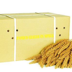 SCATOLA SPIGA DI PANICO ELEVAGE 15 KG