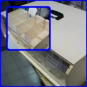 Speciale allevatori! Trasportini professionali per piccoli uccelli