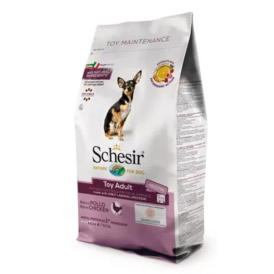 Schesir Cane Toy Maintenance Pollo