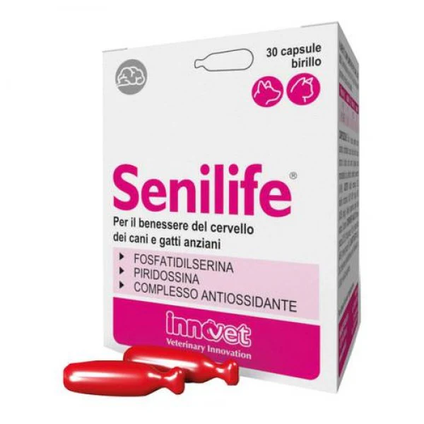 Senilife Plus 30 Capsule