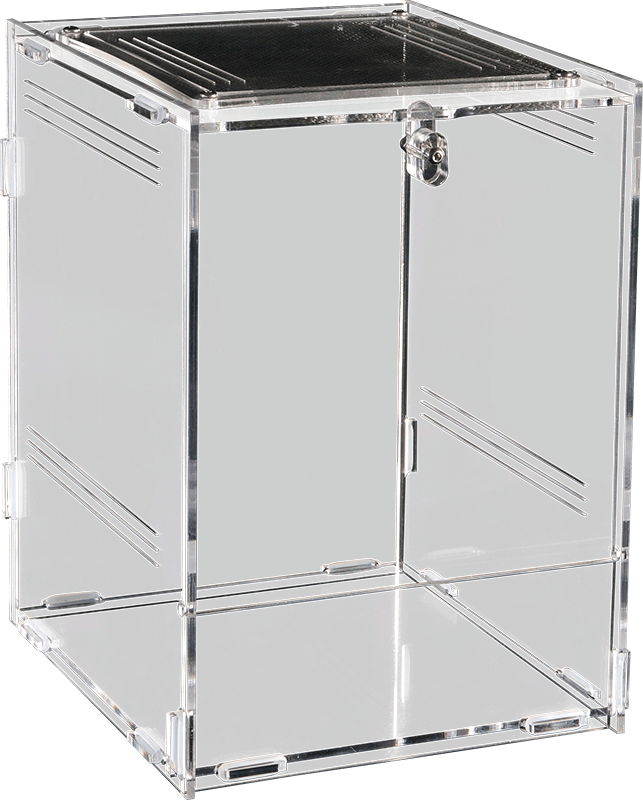 Terrario in Acrilico 15×16,5×21,5