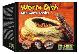 Worm Dish ExoTerra Mangiatoia per Tenebrio molitor