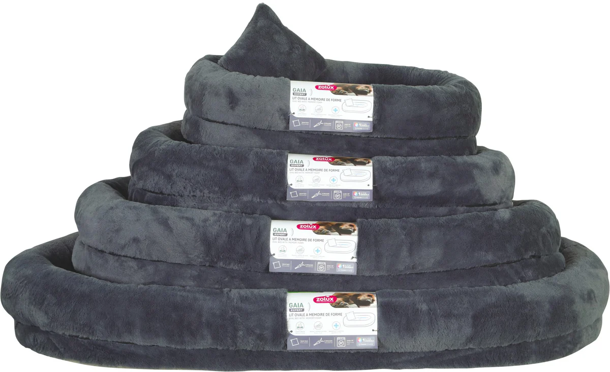 zolux DIVANO MEMORY GAIA+CUSCINO